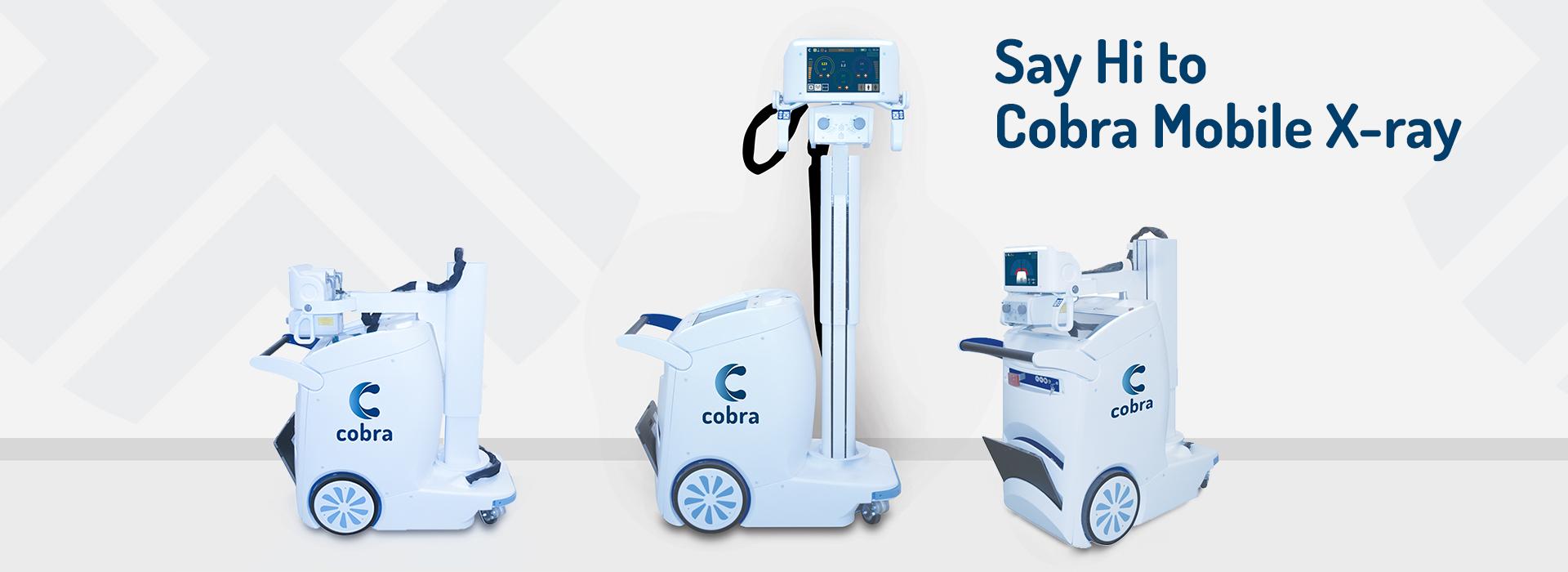 Introducing Cobra