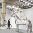 ZooMax Equine